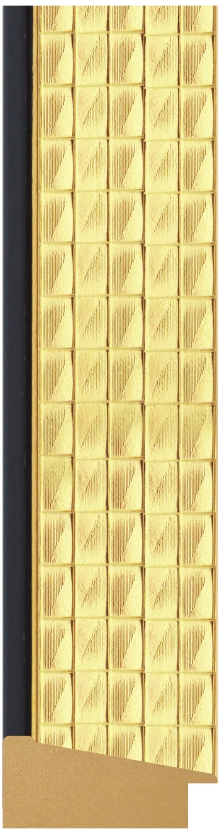 DL5818