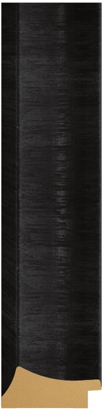 DL55004