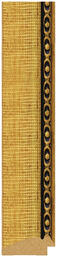 DL5030