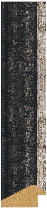 DL5004