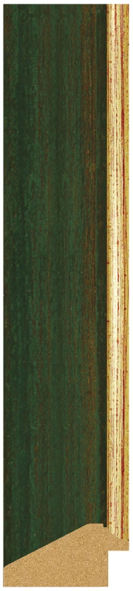DL5006