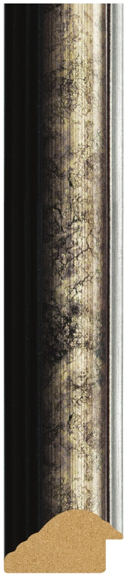 DL4829