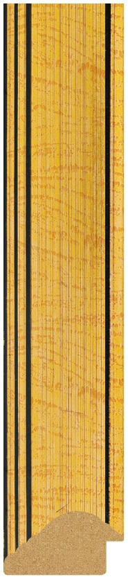 DL4831