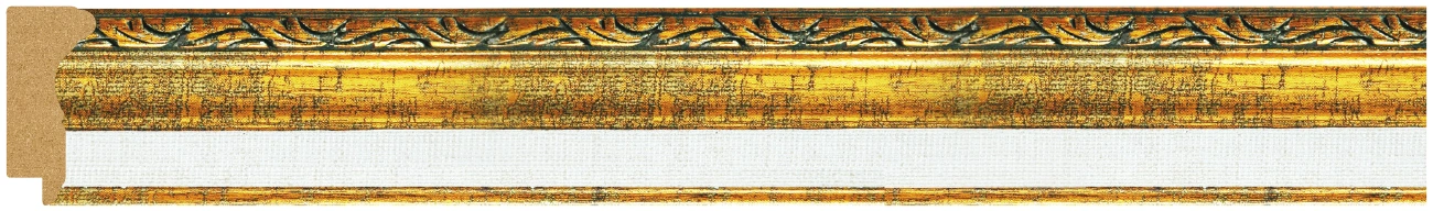 DL4884
