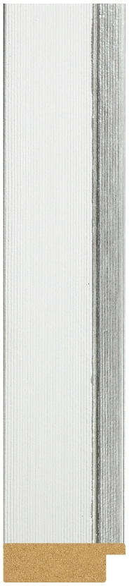 DL4800-08