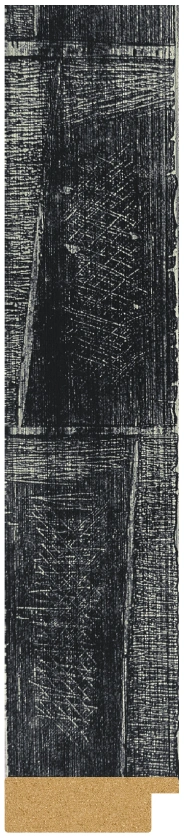 DL4820