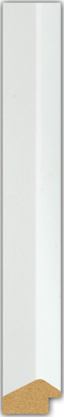 DL3111