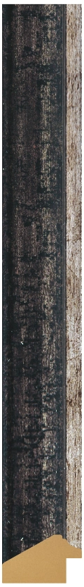 DL3004