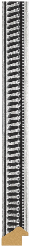 DL2502