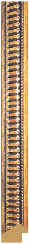DL2503