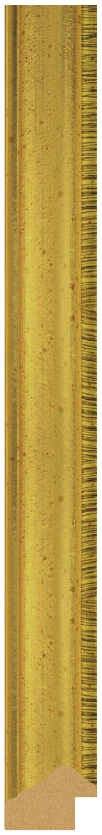 DL2506