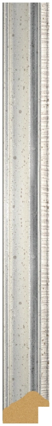 DL2507