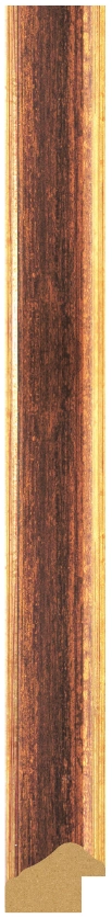 DL2510