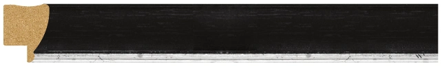 DL2364