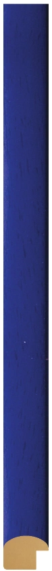 DL2109
