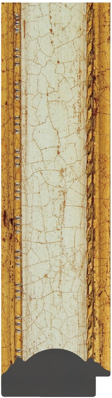 DL5855