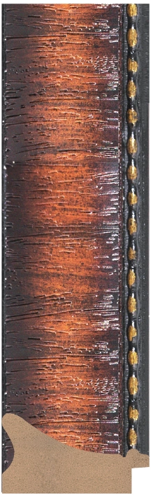 DL5582