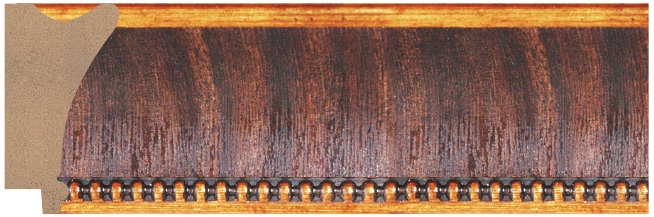 DL5589
