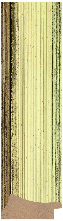 DL55005