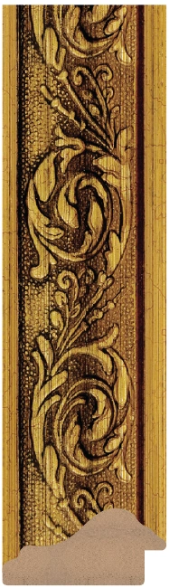 DL4981