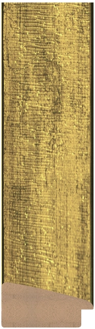 DL4869