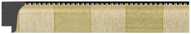 DL2841