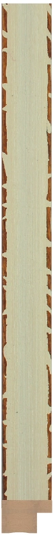 DC2013-6