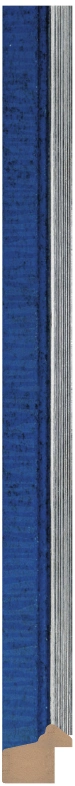 DL1981