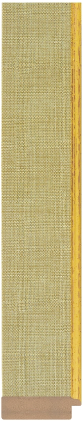 DL454