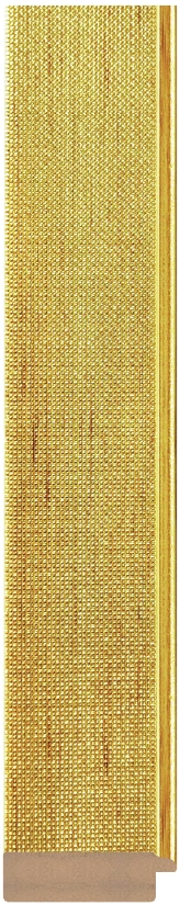 DL459