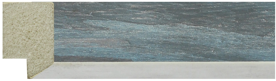 DX1001-04-2921