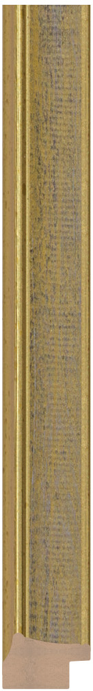 DC2516-1 çerçeve profil kesiti