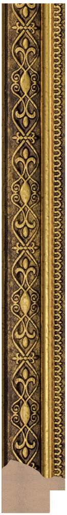 DC2521-4
