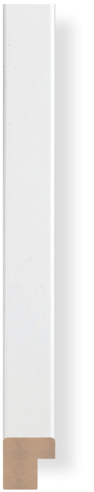 DL1513