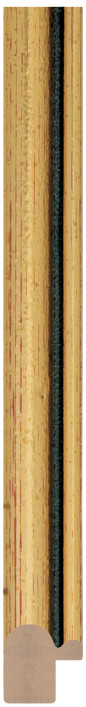 DL1629