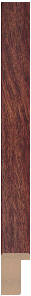 DL2004
