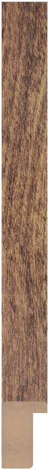 DL2006