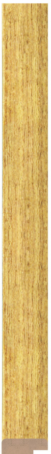 DL2008