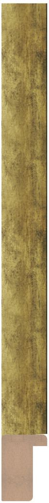 DL2010