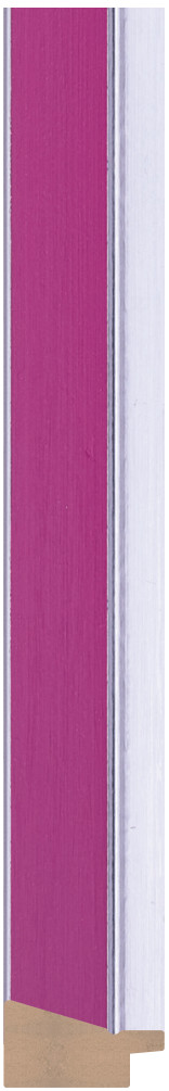 DL2861