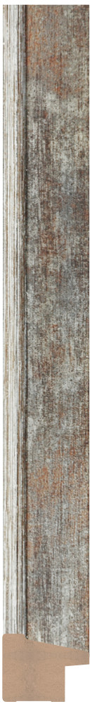 DL2954