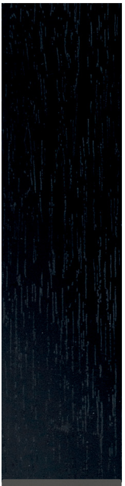 DL4805