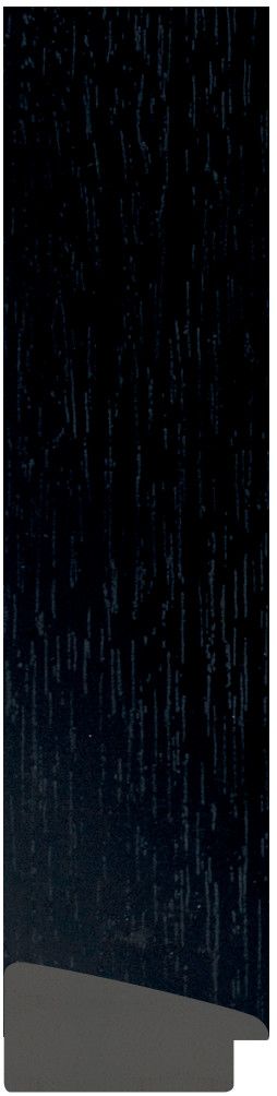 DL4861