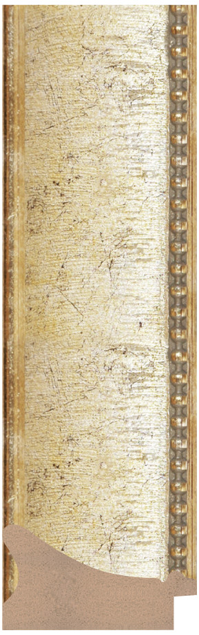 DL5586