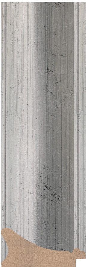 DL5591