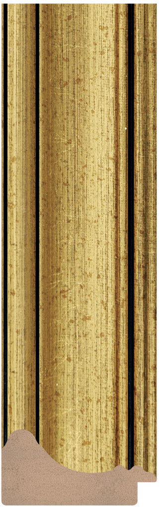 DL6231