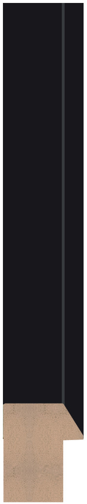 DX1003-07
