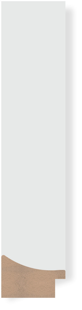 DX1007-06